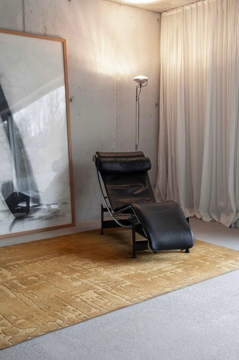 Baobab Round & Rectangular Rug